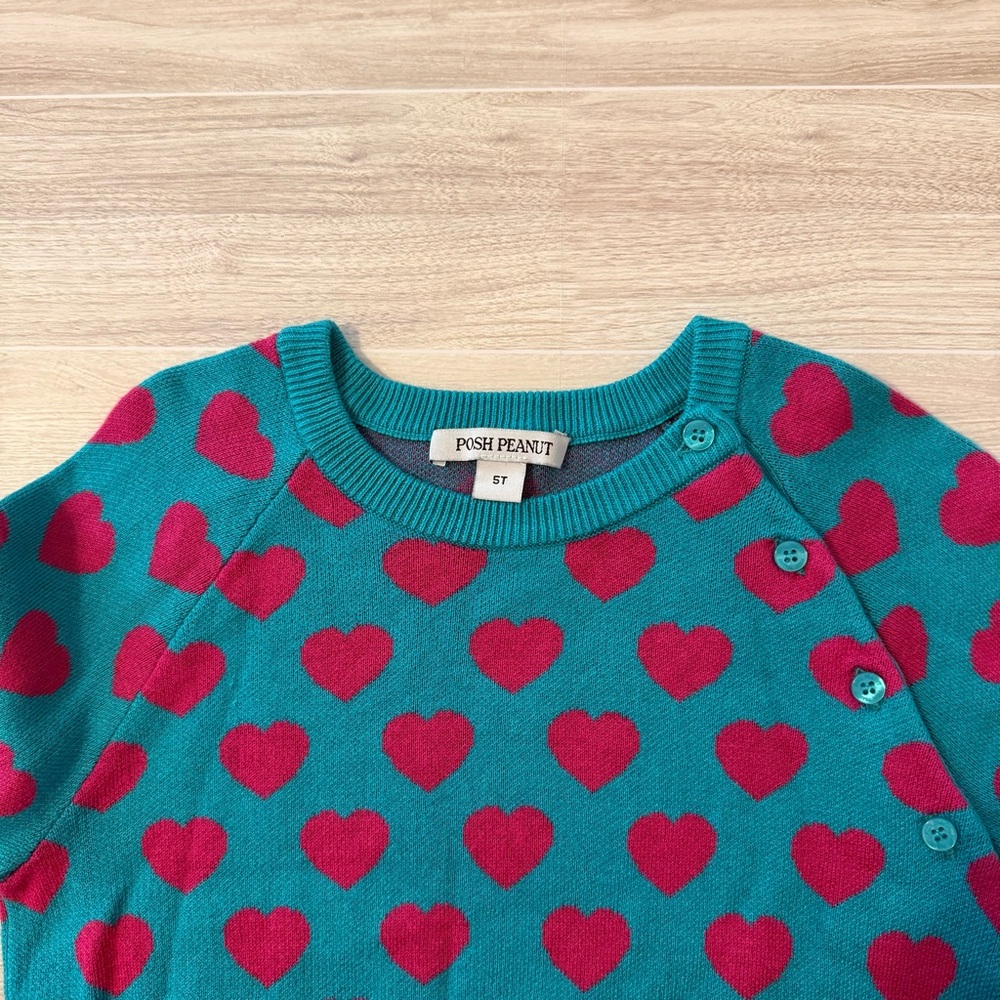 Posh Peanut Heart Print Bamboo Blend Sweater Teal Pink Size 5T - Picture 4 of 7